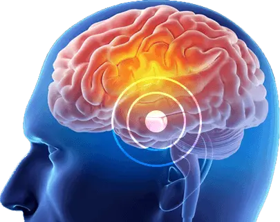 The Brain Song Science Behind